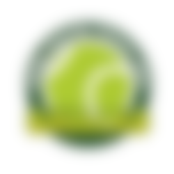 B사 스포츠 브랜드